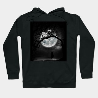 Cat in Moonlight Hoodie